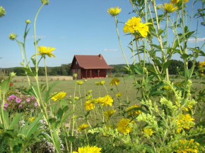 Hotels in Purda